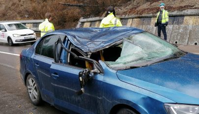 Életét vesztette egy nő, miután a mozgó autójára rádőlt egy fa