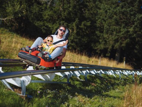 Nyárra készítik a szánkókat