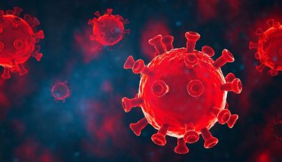 46 új koronavírusos megbetegedést jelentettek 10.973 teszt elvégzése nyomán