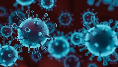 392 új koronavírusos megbetegedést jelentettek 10.956 teszt elvégzése nyomán