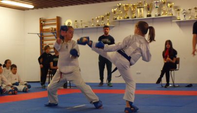 Házi karate-liga