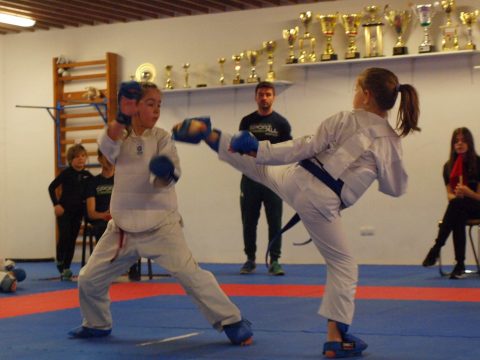 Házi karate-liga