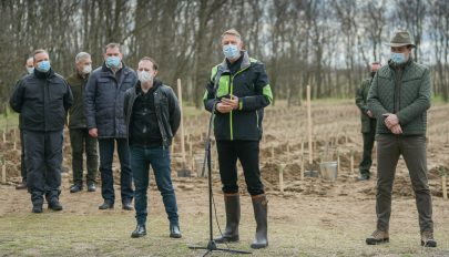 Újabb erdősítési kampányba kezdett a környezetvédelmi minisztérium