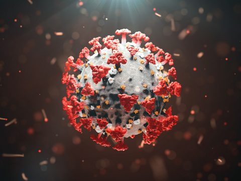 415 új koronavírusos megbetegedést jelentettek 15.118 teszt elvégzése nyomán