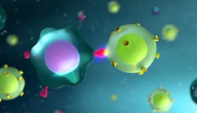 Látványos animáció mutatja be a koronavírus elleni vakcinák működését