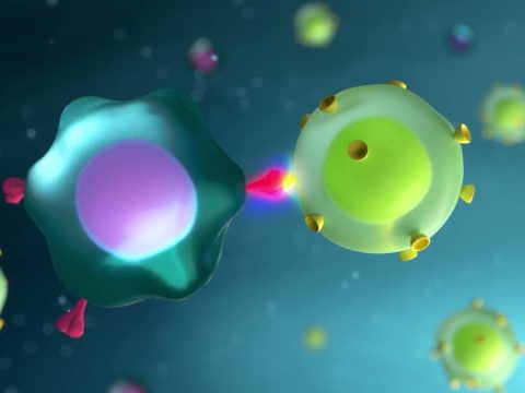 Látványos animáció mutatja be a koronavírus elleni vakcinák működését