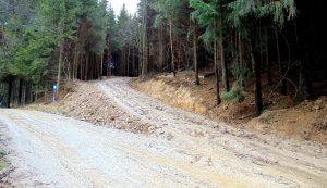 Itt kezdődik a Büdösfürdőhöz vezető és erdőkitermelést is lehetővé tevő erdei út