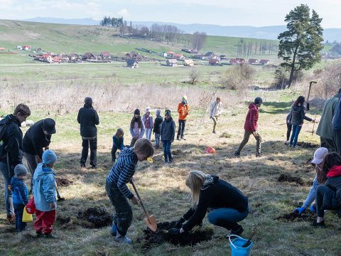 Ezerötszáz csemetét ültettek a természetbarátok