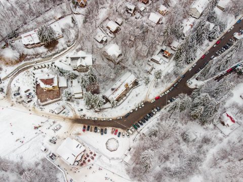 Erdei iskolába fektet a város