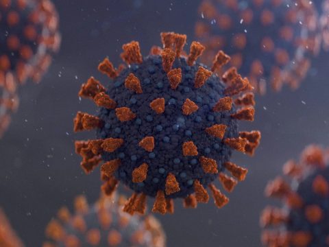 2079 új koronavírusos megbetegedést jelentettek, 40.842 teszt elvégzése nyomán