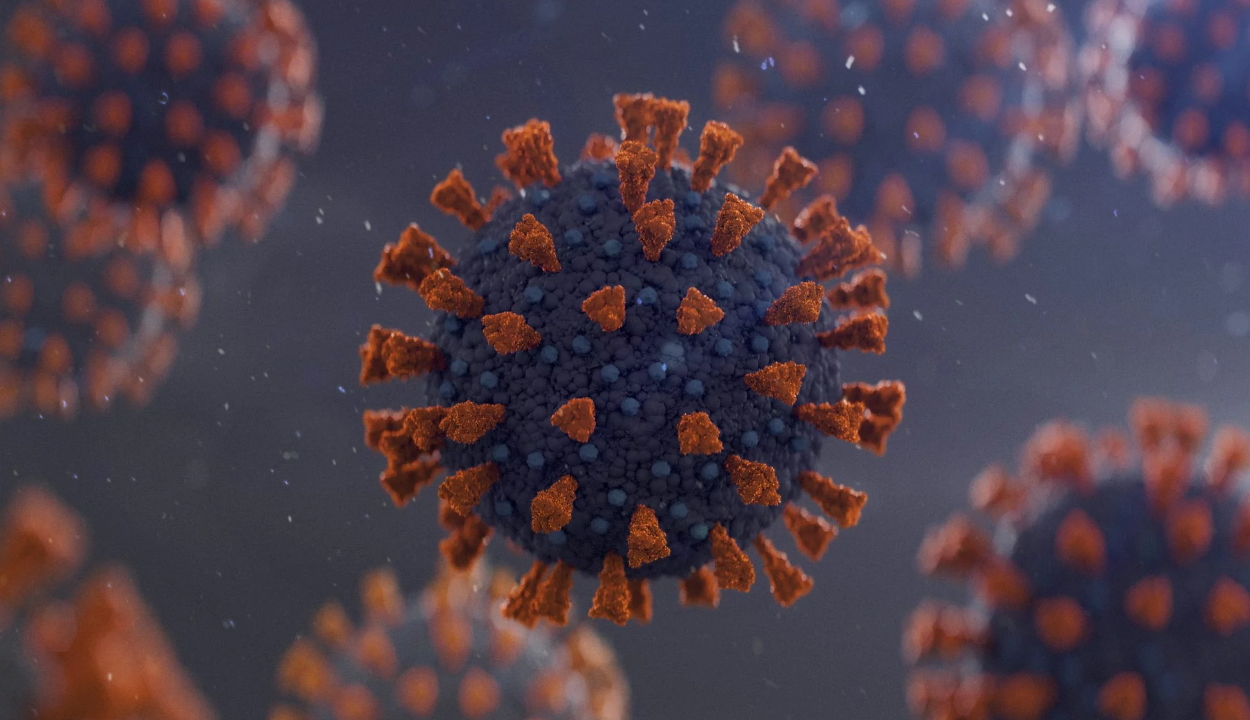 62 új koronavírusos megbetegedést jelentettek 24.920 teszt elvégzése nyomán