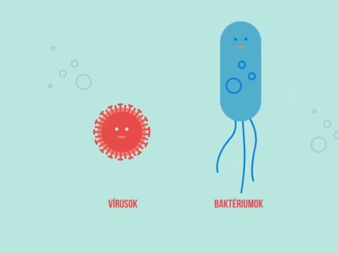 Animációs kisfilm mutatja be a vírusok és a baktériumok közötti különbségeket