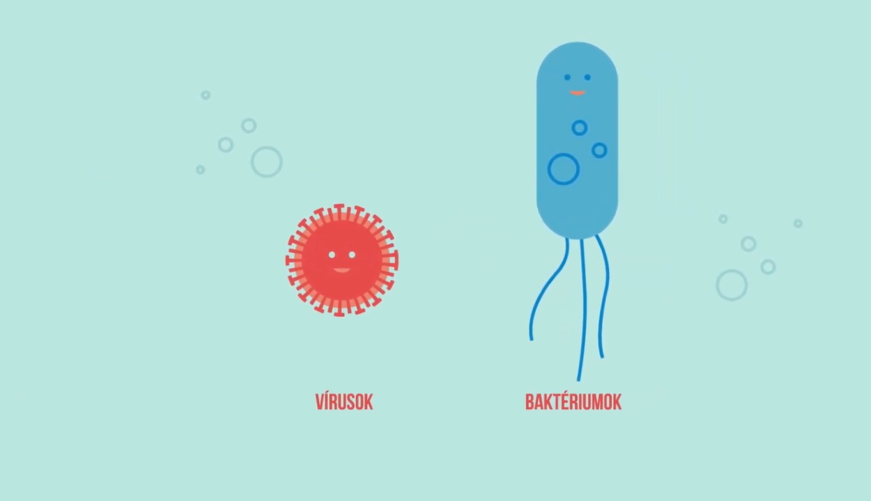 Animációs kisfilm mutatja be a vírusok és a baktériumok közötti különbségeket