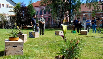 Helyszínen született művek