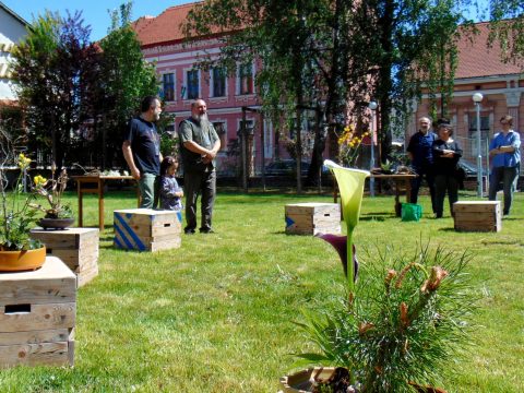 Helyszínen született művek