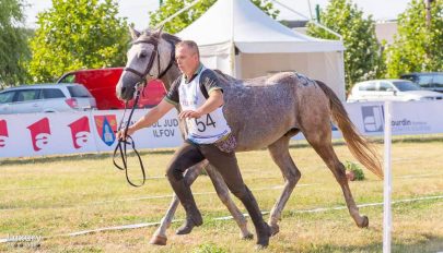 Lovas szakosztályt indít a Sport-All