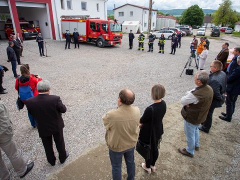 A közös ló esete