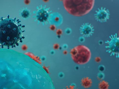 2520 új koronavírusos megbetegedést jelentettek, 43.966 teszt elvégzése nyomán
