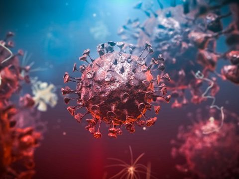51 új koronavírusos megbetegedést jelentettek 27.807 teszt elvégzése nyomán