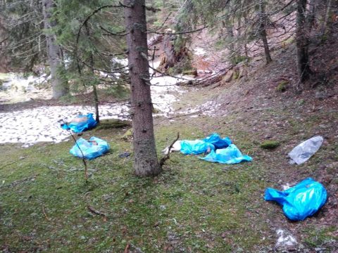 27 kutyatetemre bukkantak a Retyezát Nemzeti Parkban