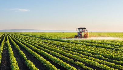 Több mint 800 ezer agrártámogatási kérelmet nyújtottak be a romániai gazdák