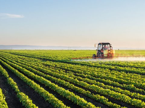 Közel 10 millió hektár mezőgazdasági területre igényeltek uniós támogatást a gazdák