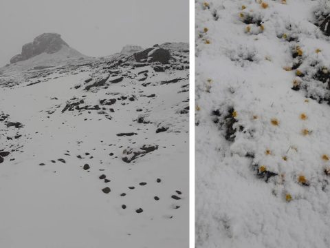 Hiába van június közepe, hó lett a romániai hegyekben
