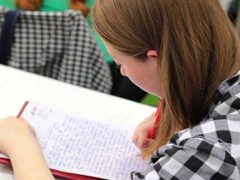 Árnyalatnyit javultak a magyar diákok román vizsgaeredményei