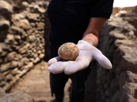 Ezer éves tyúktojást találtak Izraelben