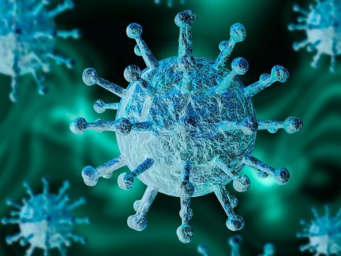595 új koronavírusos megbetegedést jelentettek 32.708 teszt elvégzése nyomán