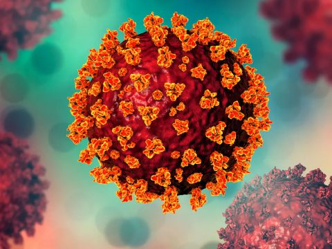 724 koronavírusos megbetegedést jelentettek az elmúlt 24 órában