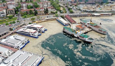 Rejtélyes ragacsos nyálka lepte el a tengert Isztambulnál