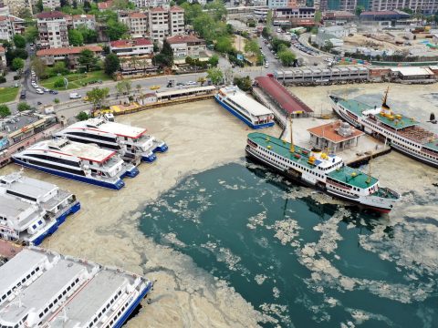 Rejtélyes ragacsos nyálka lepte el a tengert Isztambulnál