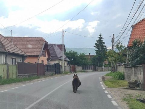 Az őrangyala mellette volt