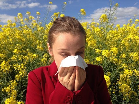 Mit kell tudni az allergiavizsgálatról?
