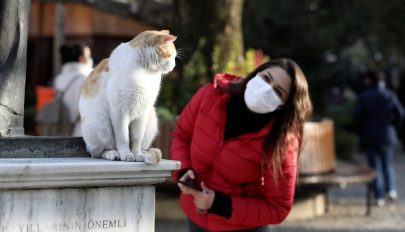 A kutyák és a macskák gyakran elkapják a koronavírus-fertőzést gazdáiktól