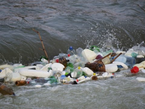 Az úszó hulladékot összegyűjtő rendszereket helyeznek el a román-magyar határ mentén levő folyókon