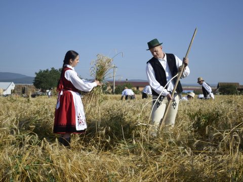 Aratóünnepség Csernátonban