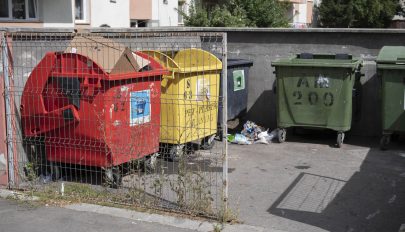 Sok munka a szemétválogatás