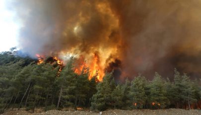 Az EU repülőgépekkel segíti a törökországi erdő- és bozóttüzek oltását