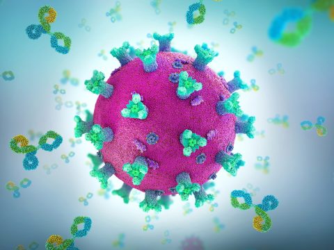 1470 új koronavírusos megbetegedést jelentettek 40.677 teszt elvégzése nyomán