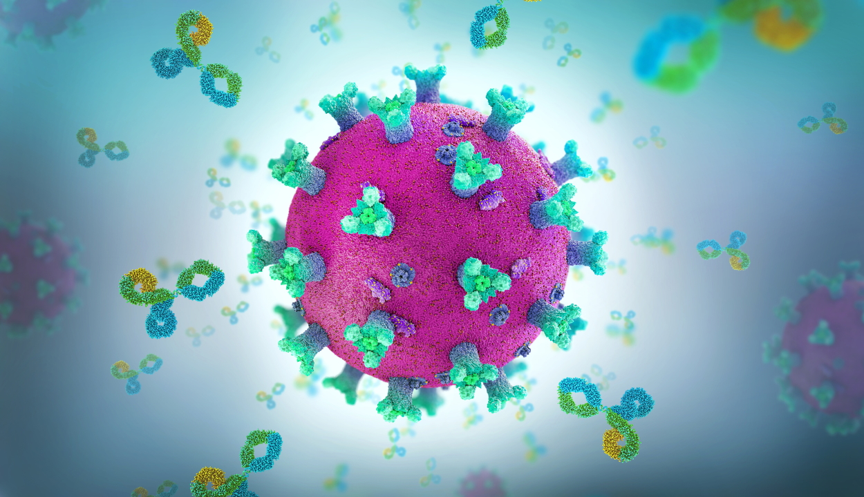 1550 új koronavírusos megbetegedést jelentettek, 18.375 teszt elvégzése nyomán