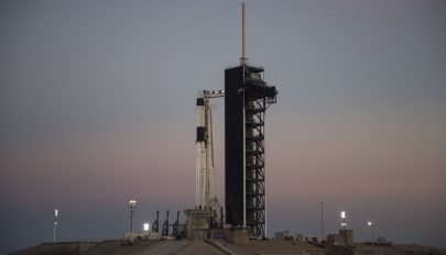 Jégkrémet és hangyát szállít az űrbe Musk