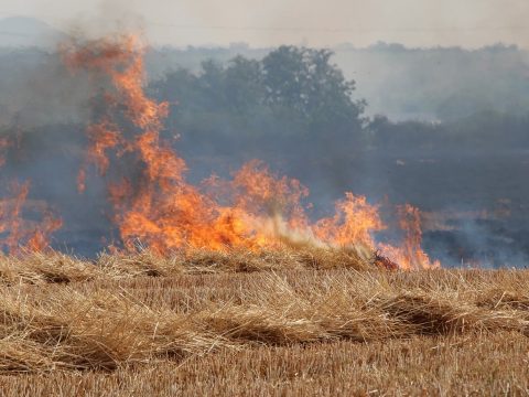 Megvonják a mezőgazdasági támogatásokat a tarlót felgyújtó gazdáktól