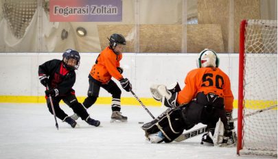 Sokszínű program a Sportnapokon