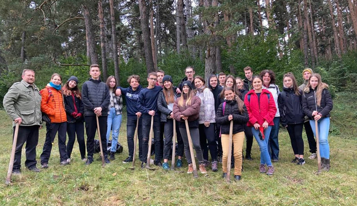 Cseperedik a Napkapu-erdő