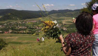 Patika a Perkőn