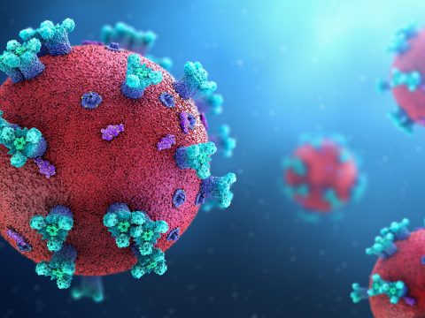 2974 koronavírusos megbetegedést jelentettek az elmúlt 24 órában