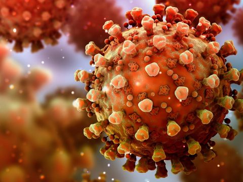 2889 új koronavírusos megbetegedést jelentettek, 44.737 teszt elvégzése nyomán