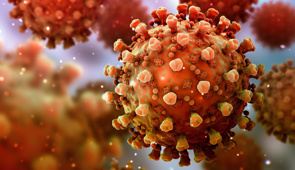 5602 koronavírusos megbetegedést jelentettek, 47 ezer teszt elvégzése nyomán